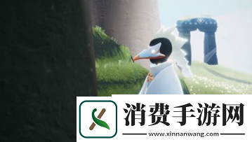 光遇白鸟斗篷怎么搭配好看