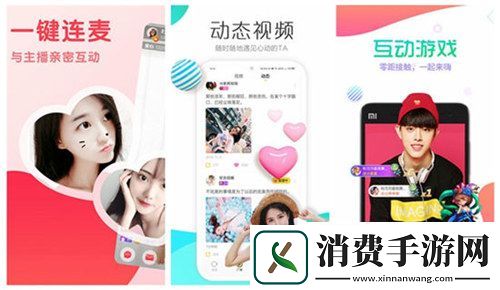 美味的老婆：美食与爱生活的甜蜜滋味