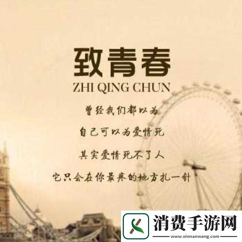 已满十八岁记得带纸力：那些年我们追过的青春