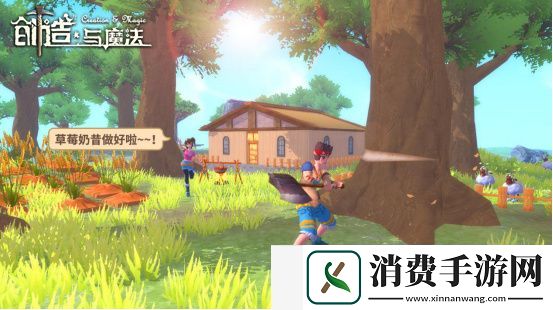 创造与魔法狂野维京海雀和海雀王位置在哪：装备搭配与强化秘籍