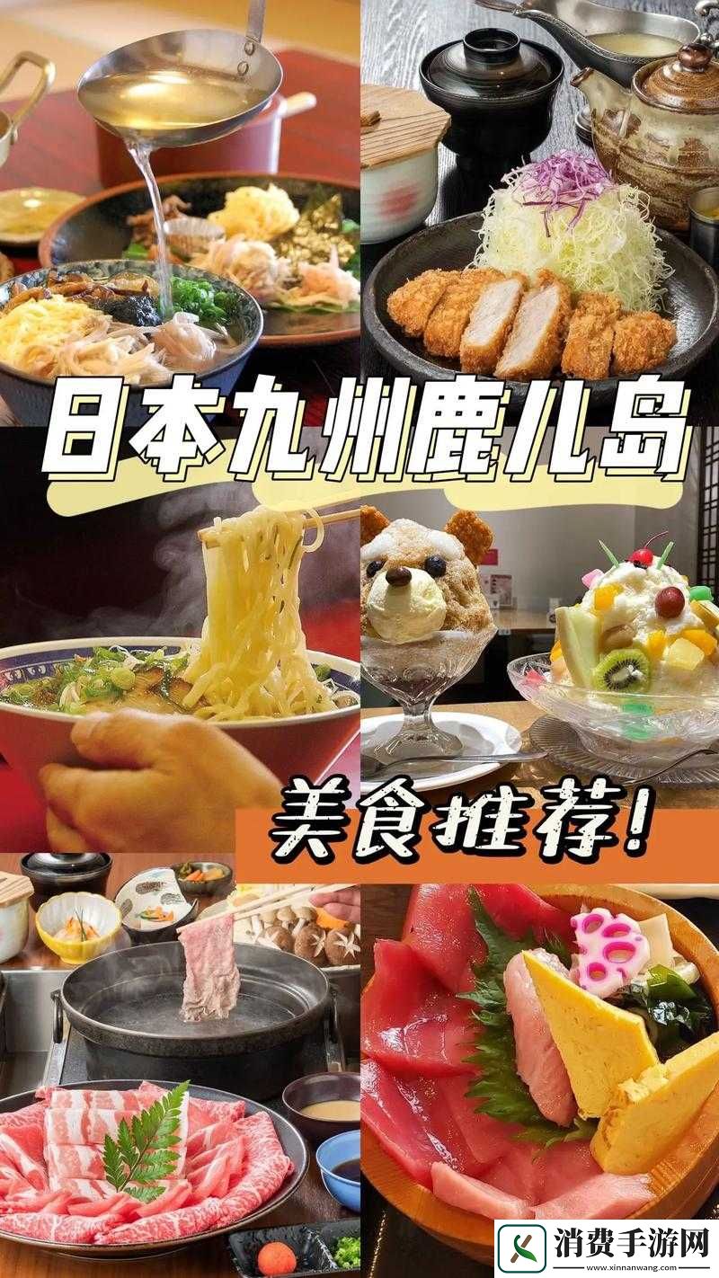 肉食家庭食取报告1樱花：探秘美食背后的浪漫与风情