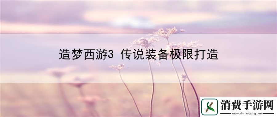 造梦西游3传说装备极限打造：战斗意识团队协同