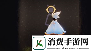 光遇白鸟斗篷怎么搭配好看