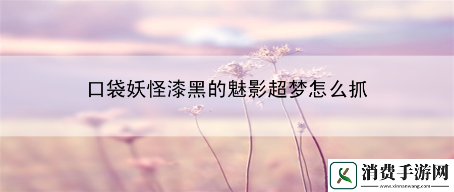 口袋妖怪漆黑的魅影超梦怎么抓：装备强化之路