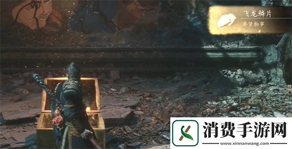 黑神话悟空飞龙鳞片怎么获得飞龙鳞片获取方法