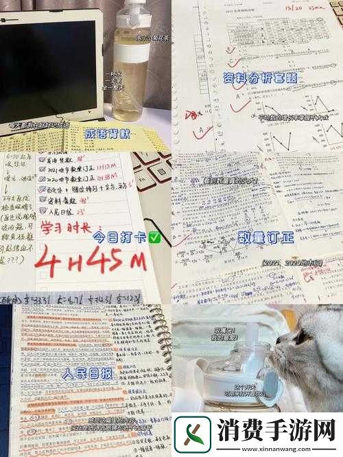 答错一题菊花放一支笔：有趣的答题挑战规则