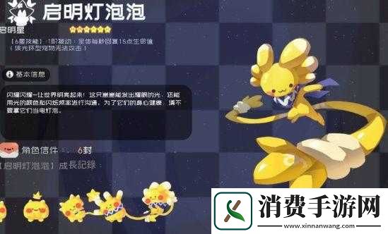 弹力果冻新手带什么宠物好-前期宠物推荐
