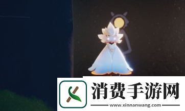 光遇白鸟斗篷怎么搭配好看