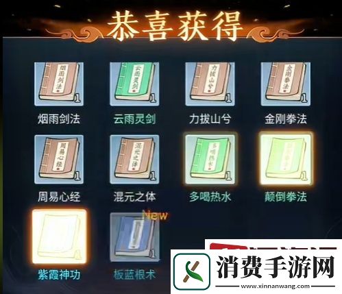 剑与魔龙连击流怎么搭配