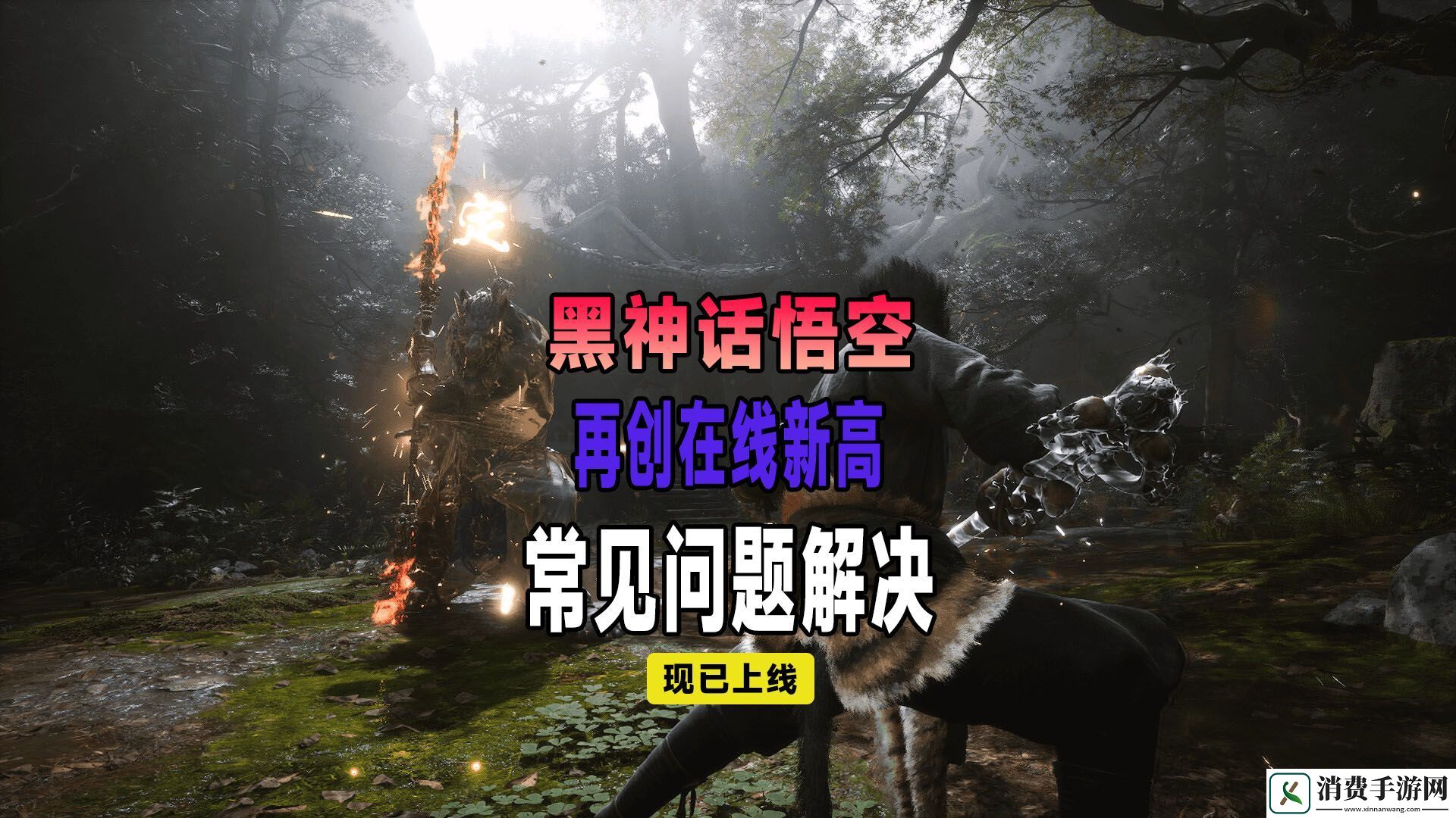 黑神话悟空画面撕裂了怎么办画面撕裂了解决方法