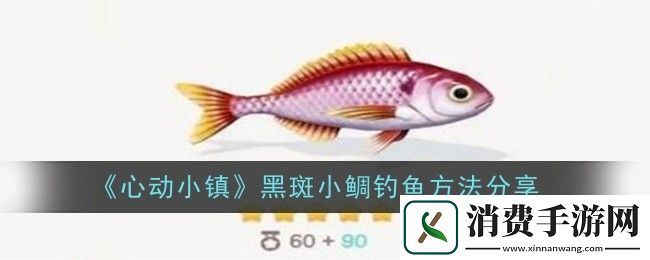 心动小镇黑斑小鲷钓鱼方法分享
