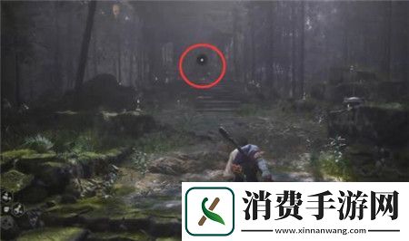黑神话悟空第一章隐藏地图关卡怎么进黑神话悟空第一章隐藏地图关卡进入方法介绍
