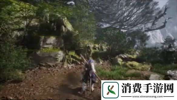 黑神话悟空根基有哪些黑神话悟空根基介绍