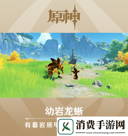 原神新怪物幼岩龙蜥长什么样