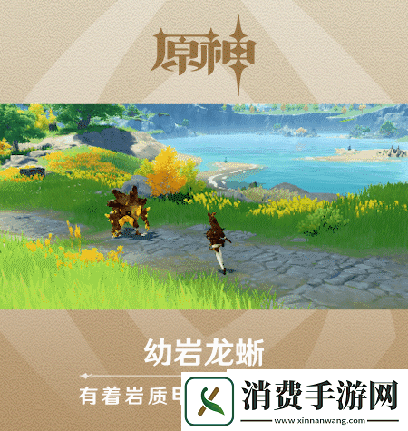 原神新怪物幼岩龙蜥长什么样