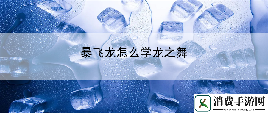 暴飞龙怎么学龙之舞：寻找隐藏的宝藏
