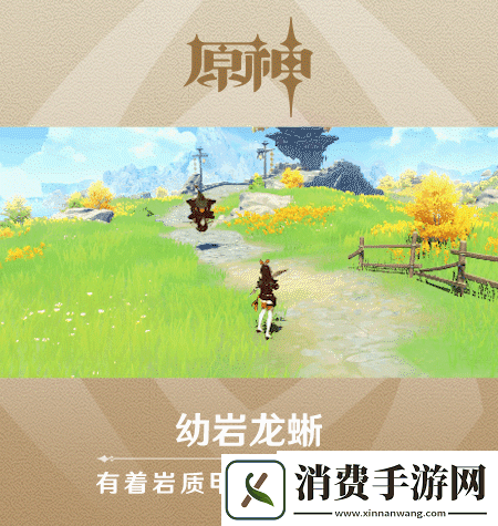 原神新怪物幼岩龙蜥长什么样