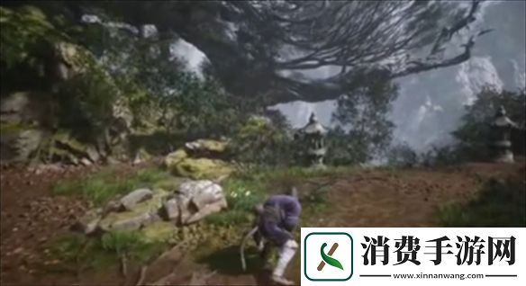 黑神话悟空根基有哪些黑神话悟空根基介绍