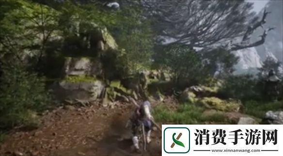 黑神话悟空根基有哪些黑神话悟空根基介绍