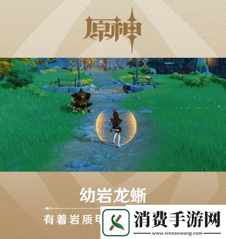 原神新怪物幼岩龙蜥长什么样