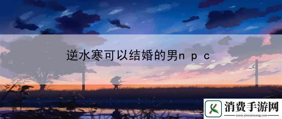 逆水寒可以结婚的男npc：新手入门解析