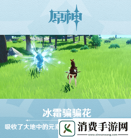 原神新怪物骗骗花长什么样