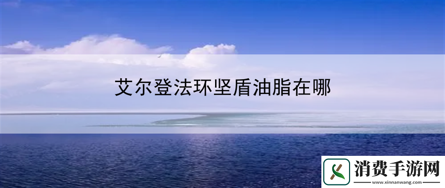 艾尔登法环坚盾油脂在哪：教你有效地应对各种战斗异常状态
