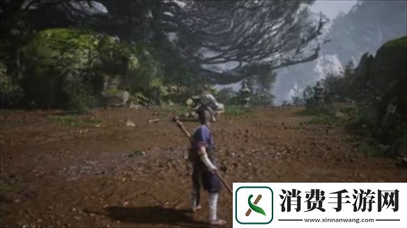 黑神话悟空根基有哪些黑神话悟空根基介绍