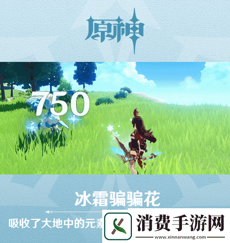 原神新怪物骗骗花长什么样
