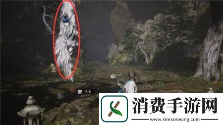 黑神话悟空第一章隐藏地图关卡怎么进黑神话悟空第一章隐藏地图关卡进入方法介绍
