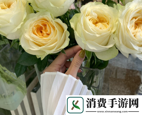 公交诗晴火遍网络-网友：每天坐公交也能读到这样的好诗真好！