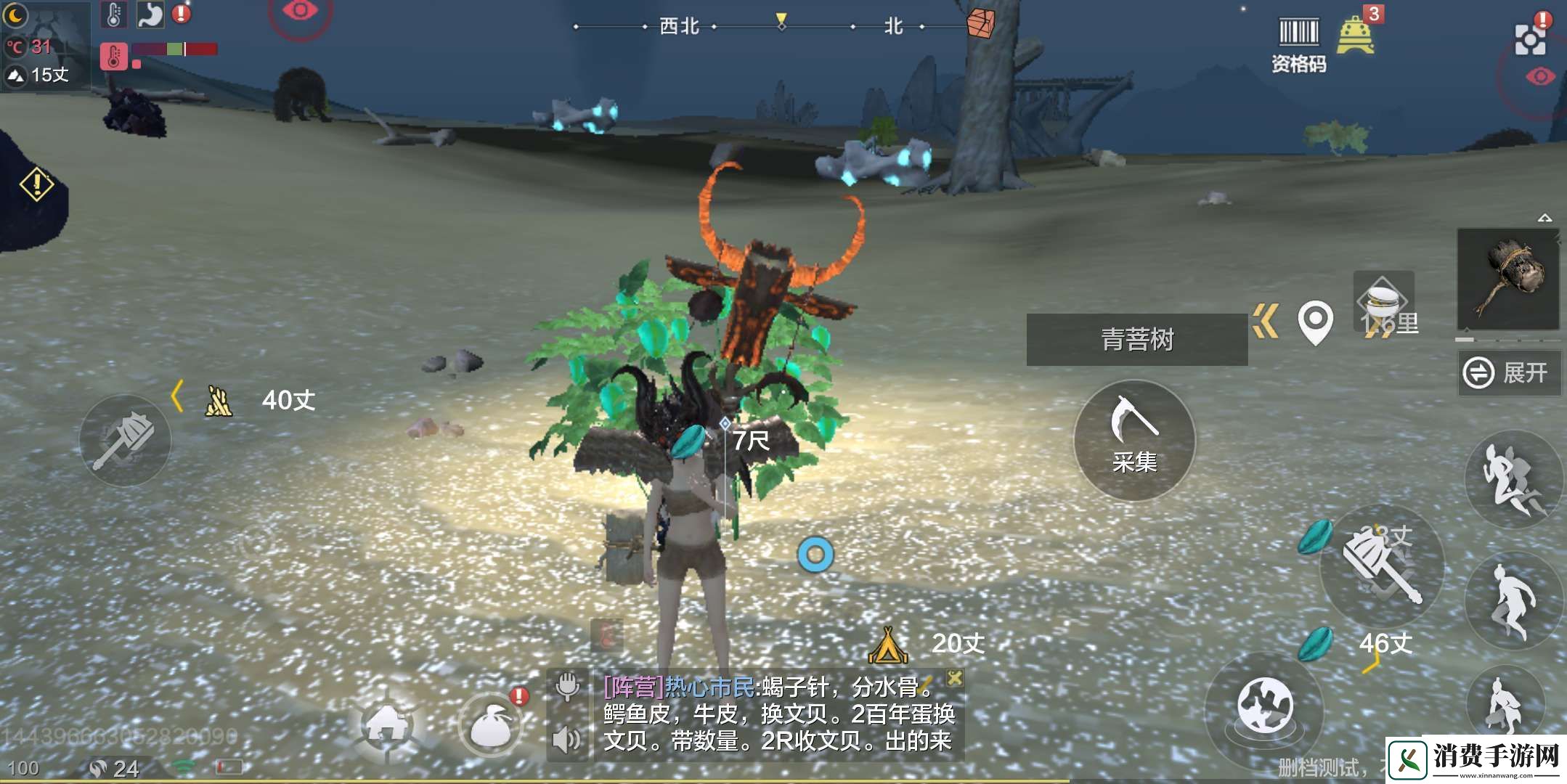 妄想山海青菩果在哪