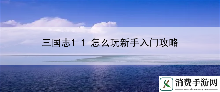 三国志11怎么玩新手入门攻略