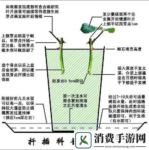 欧式