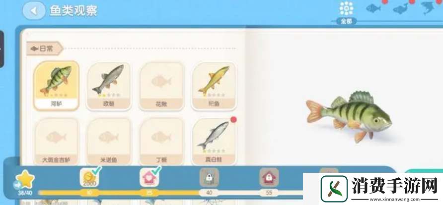 心动小镇鱼类刷新图鉴一览