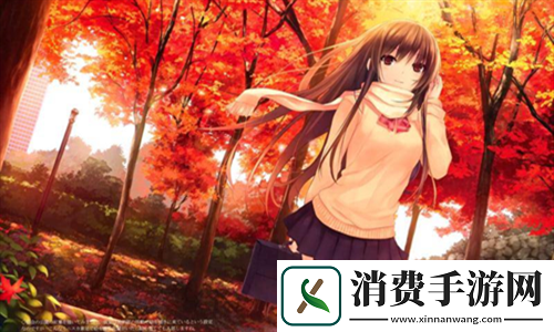 丫头牦户一张一合