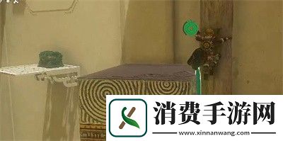 塞尔达传说王国之泪怎么通过姆萨诺奇拉神庙
