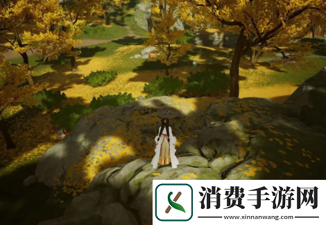 射雕无定坊五蕴灯攻略