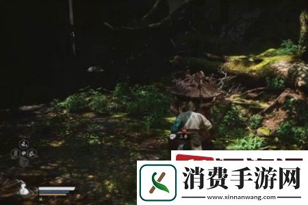黑神话悟空黑风大王在哪