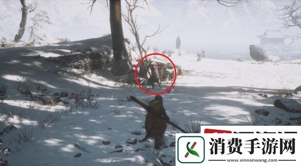 黑神话悟空摩尼珠怎么获取