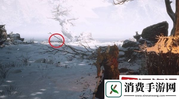 黑神话悟空照鉴湖雪树下蒲团在哪