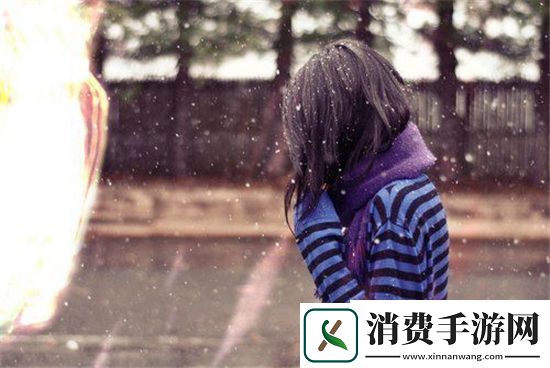 ZOOM与牛性胶大比拼：性能差异与适用场景详解