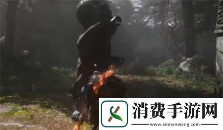 黑神话悟空幽魂怎么打黑神话悟空幽魂打法攻略