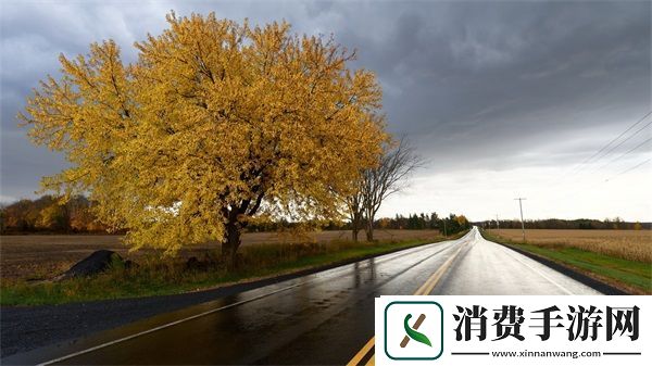 厨房一路干到卧室最简单处理方法：快速清洁全屋指南