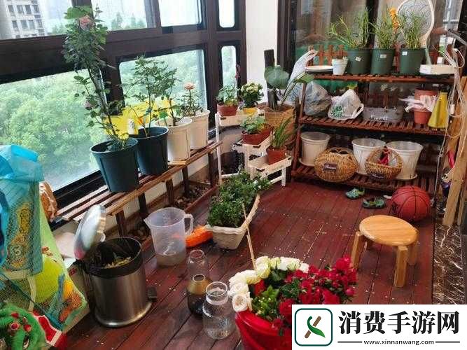 老公每晚吃小花园是否合适探讨