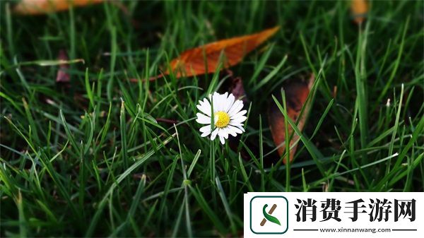 随时随地都能干HR：技术改变人力资源管理的未来