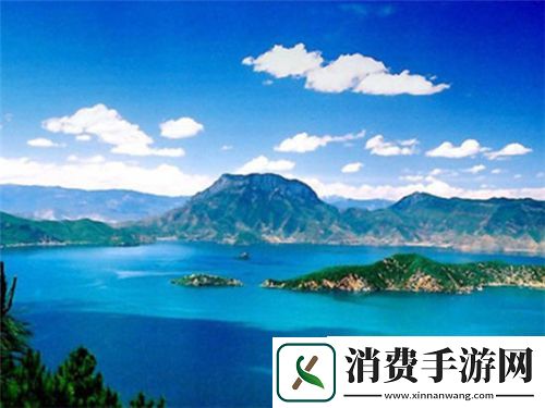 青青河边草高清免费版新闻