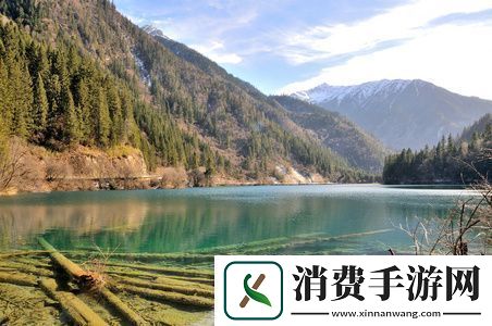 可以免费观看的电影