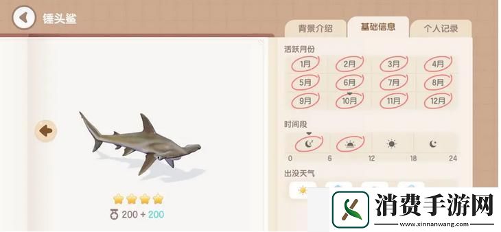 心动小镇锤头鲨在哪里钓
