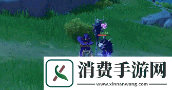 原神丽莎技能怎么样